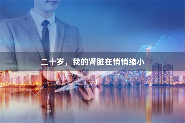 二十岁，我的肾脏在悄悄缩小